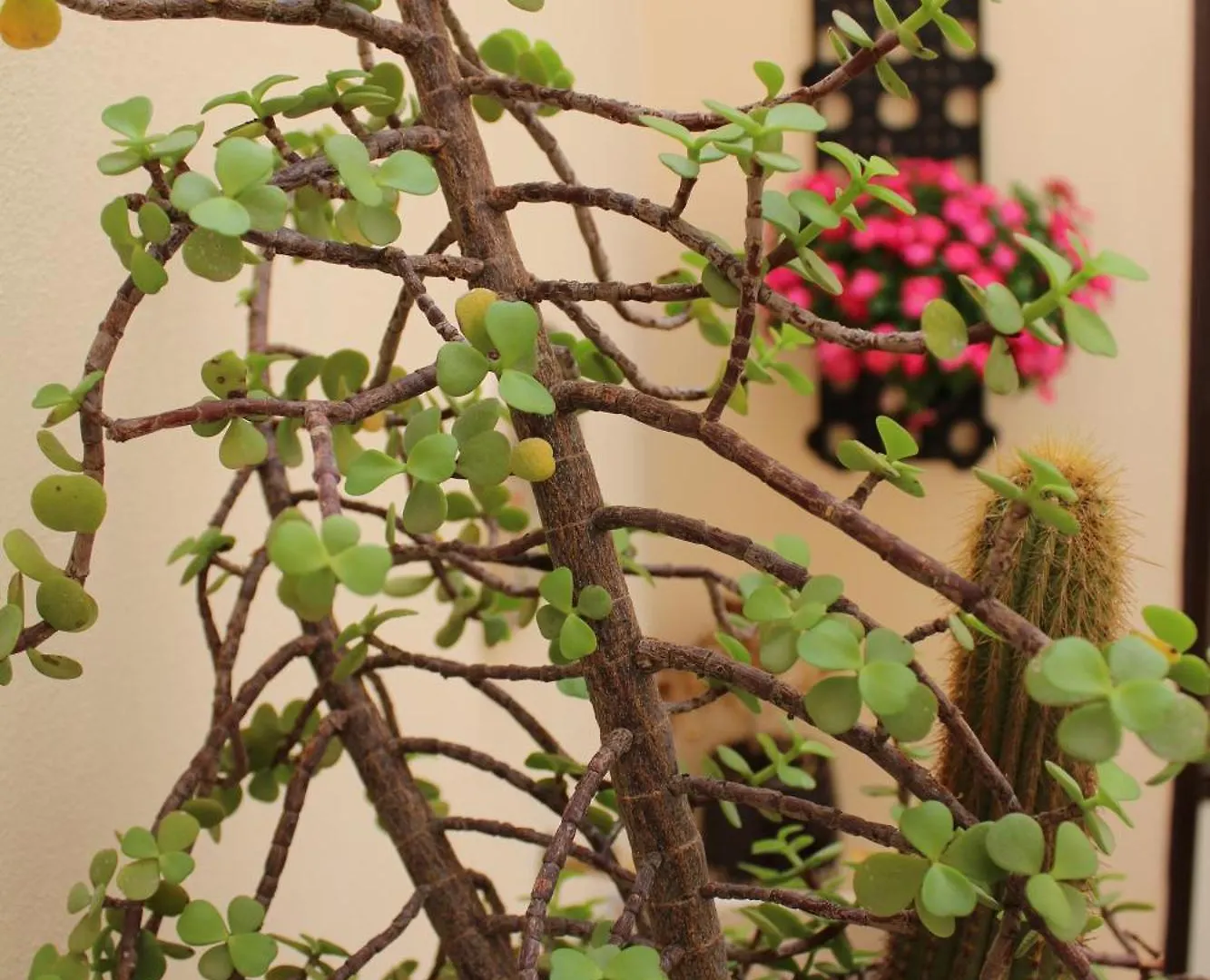 Falstaff Rooms & Suites Palermo 0*,  Italia